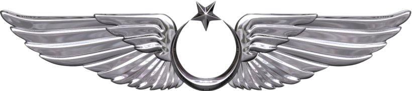 Pilot wings watermark